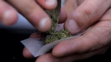 Informe de la SND destaca la drástica caída del narcotráfico clásico a partir de la regulación del cannabis