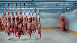 Paro de frigoríficos.&nbsp;