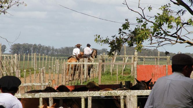 Gobierno extiende emergencia agropecuaria por déficit hídrico