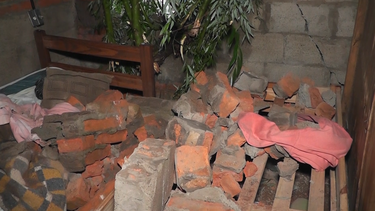 Árbol cayó arriba de dos niñas mientras estaban durmiendo.