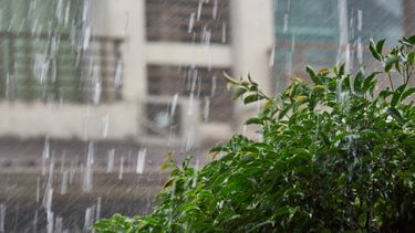 Miércoles según Inumet.