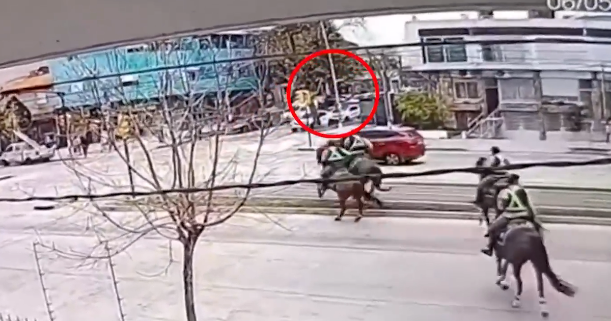Personal de la Guardia Republicana, a caballo, detuvo a un hombre que había robado una bicicleta
