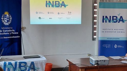 INBA.