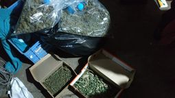 Desbarataron banda que producía droga y la vendía a Brasil