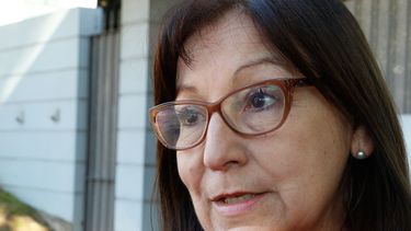 elbia pereira cuestiono proyecto para proponer esencialidad de alimentacion escolar