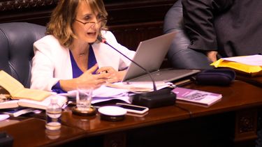 Asiaín: proyecto de tenencia compartida es lo justo