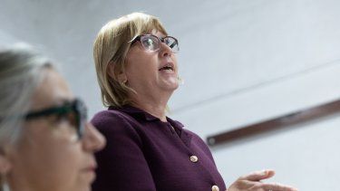 lustemberg confirmo que desde julio se dara gratis la vacuna contra el meningococo a dos grupos de ninos
