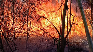 Chile combate 34 incendios contra el viento y el calor extremo