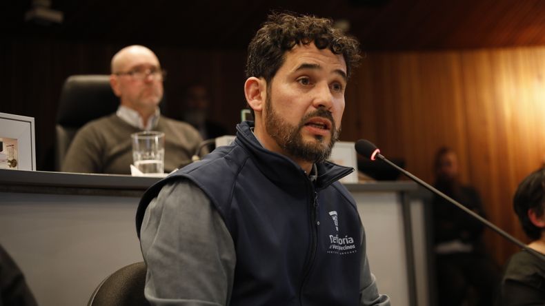 Defensor del vecino sobre el caso del apartamento con 24 gatos: "Es necesario cambiar la normativa"
