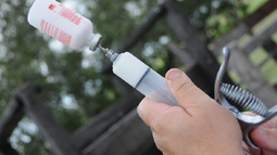 Vacunación contra la fiebre aftosa 2023.