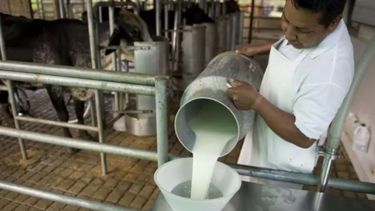 Gremiales de productores lecheros expresaron preocupación por investigación sobre supuesto dumping en Brasil Gremiales de productores lecheros expresaron preocupación por investigación sobre supuesto dumping en Brasil