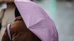 ¿Qué es la lluvia negra y cómo afecta a Uruguay?