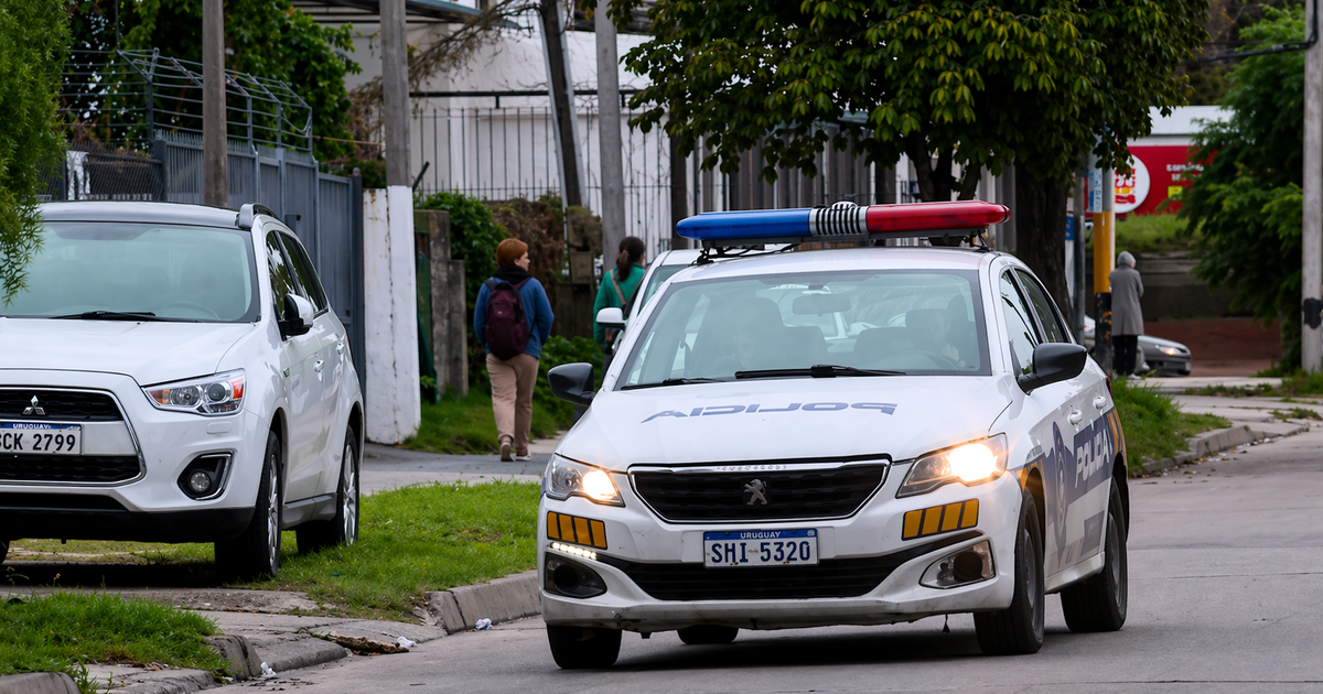 Cayó al enredarse con la cadena y su perro lo atacó: hombre de 86 años sufrió varias lesiones