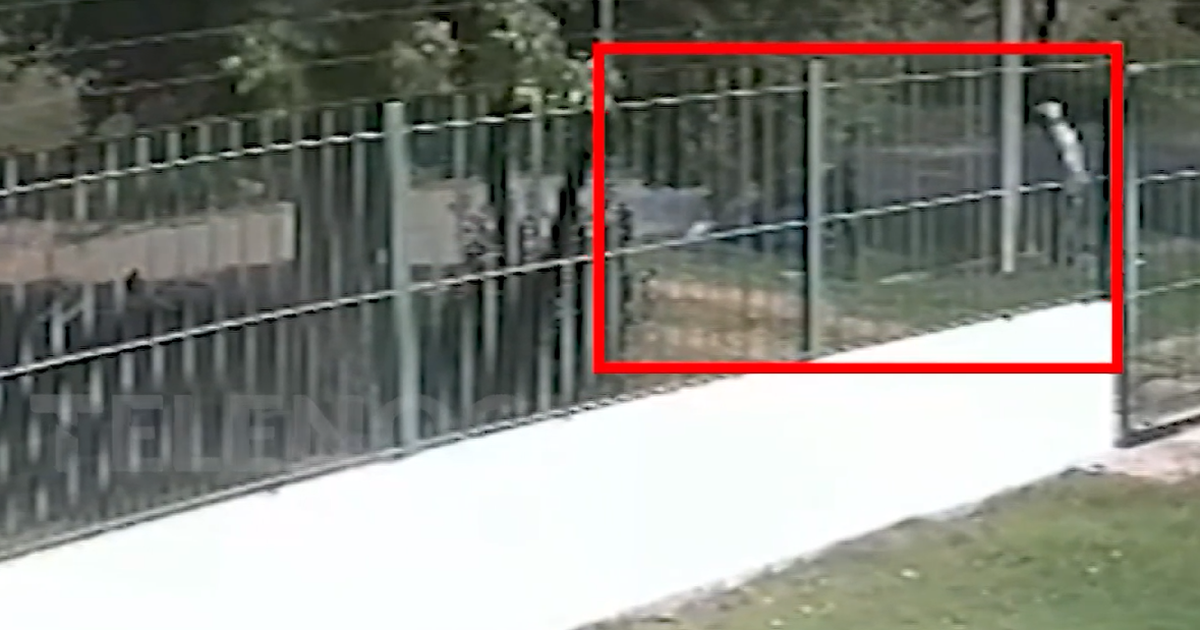 Imputaron con prisión preventiva al hombre que intentó rapiñar a repartidor y fue detenido por vecinos de Nuevo París