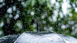 Miércoles según Inumet.