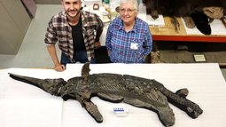 Dr. Dean Lomax (izq.) y a la profesora Judy Massare (der.) posando junto al esqueleto del recién nombrado ictiosaurio dragón espada. Dr. Dean Lomax (izq.) y a la profesora Judy Massare (der.) posando junto al esqueleto del recién nombrado ictiosaurio dragón espada.