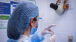 Medina: Las vacunas son un bien público