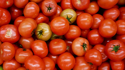 Tomate, sandía, calabacín y durazno, accesibles, sanos y nutritivos