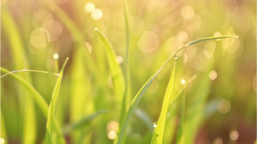 Martes con altas temperaturas y probable formación de lluvias: esto dice Inumet
