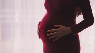 Diputados aprobó proyecto para ausentarse del trabajo por controles de embarazo