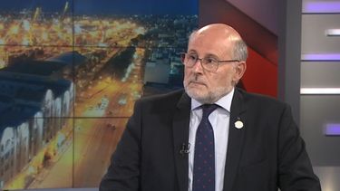 La situación ya no es de crisis ni de emergencia, es de vida o muerte