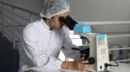 Cáncer en Uruguay: 16 mil casos nuevos por año y 8 mil muertes
