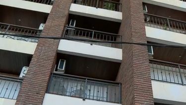 Delincuentes Hombre araña volvieron a atacar en Parque Batlle: robaron un edificio de la Avda. Rivera