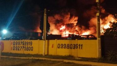 Primaria perdió 300.000 libros tras incendio en Costa Logística