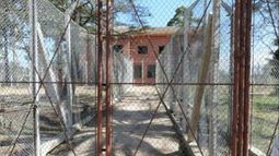 Colonia Berro, Inisa.