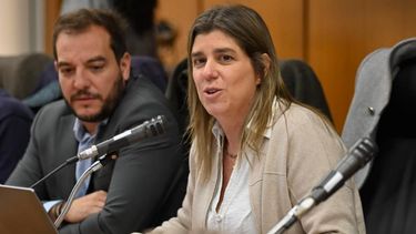 Tamara Paseyro presentó los principales lineamientos de la cartera ante la comisión de Vivienda de Diputados