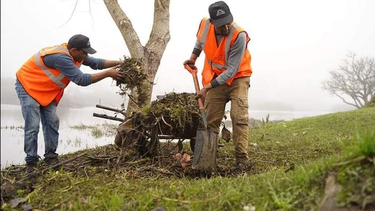 El desempleo se ubicó en 8,1% en enero y aumentó respecto de la medición anterior