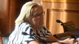 Bianchi dijo que no va a juzgar intenciones del Ejecutivo tras creación de preinvestigadora por Cardama