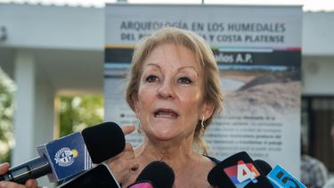 Cosse opinó que el proyecto de movilidad con dos corredores eléctricos le hace bien a la zona metropolitana