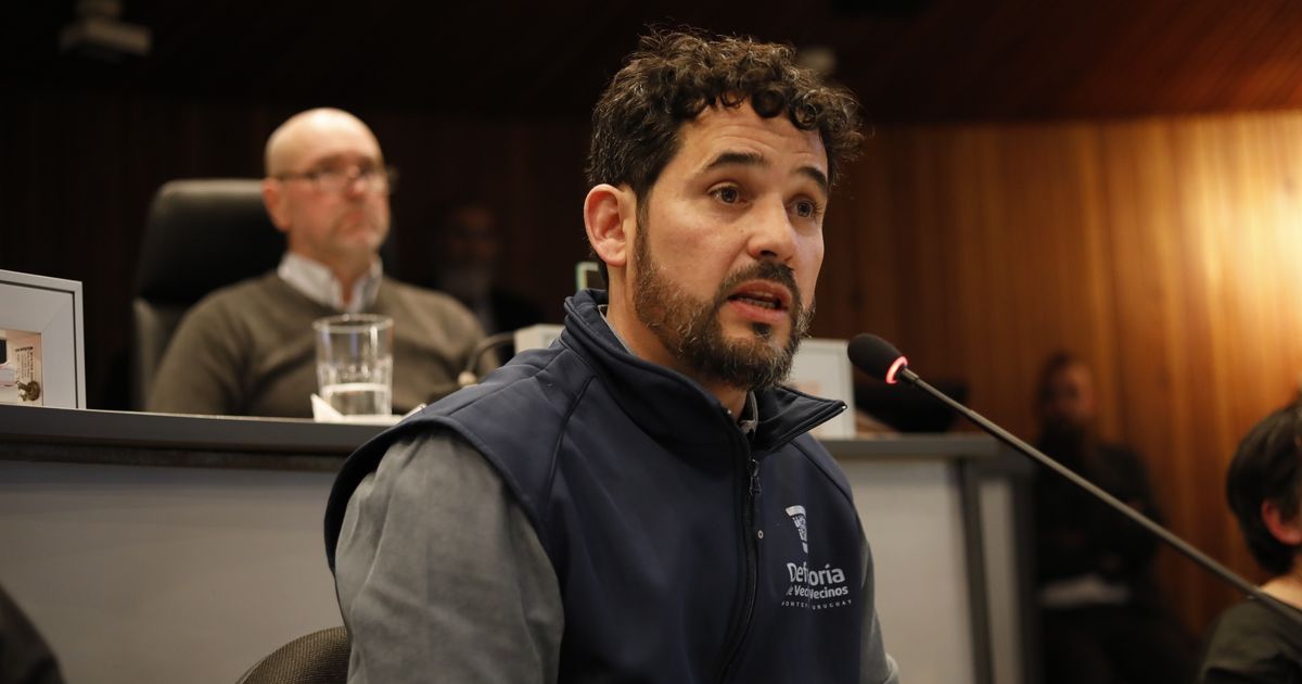Defensor del vecino sobre el caso del apartamento con 24 gatos: 