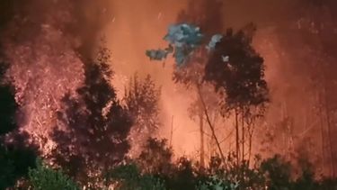 Se registró un incendio en el Cerro del Toro en Piriápolis