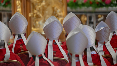 Medida del Vaticano por desobediencia. Medida del Vaticano por desobediencia.