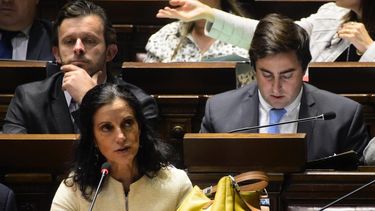 En vivo: siga la interpelación del FA a la ministra Arbeleche