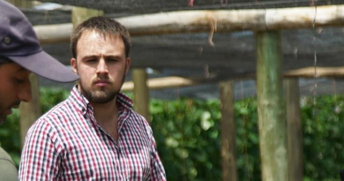 Diputado colorado advierte por leña que ingresa de contrabando infectada con larvas, insectos y gusanos