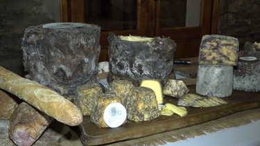 Observatorio Gastronómico en Paysandú.