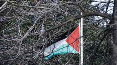 de los 193 paises miembros de la onu, 142 ya reconocen a palestina como estado, ¿cuales son?