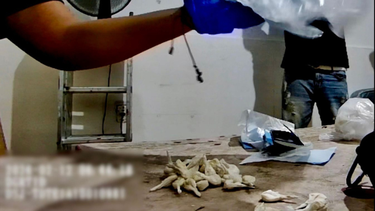 Allanamiento en el Centro: cuatro detenidos y casi medio kilo de sustancias estupefacientes Allanamiento en el Centro: cuatro detenidos y casi medio kilo de sustancias estupefacientes