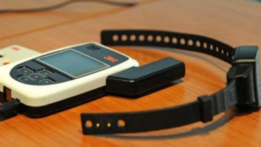 Se colocaron 2.198 tobilleras desde febrero de 2013