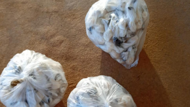 Tres detenidos tras incautación de armas y 368 dosis de pasta base