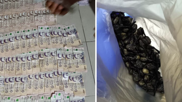 detienen a un hombre con drogas, arma y antecedentes en pando