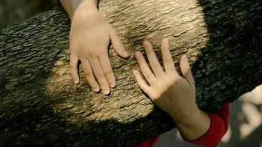 Trabajo infantil en Uruguay alcanzó al 6,8% de niños y adolescentes