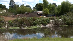Contaminación en el arroyo Carrasco genera preocupación: Martín Lema acompañó a la alcaldesa en recorrida
