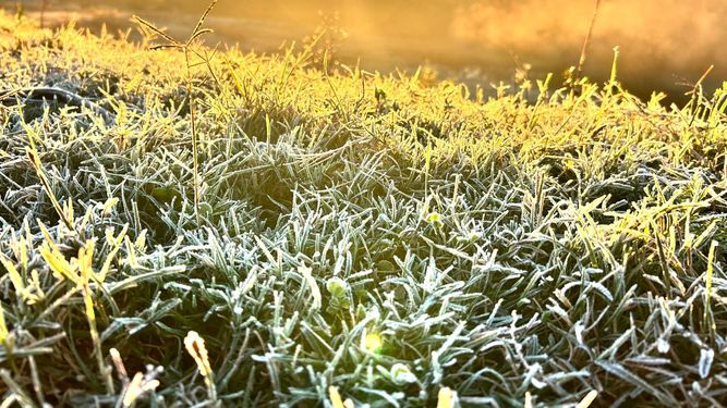 Inumet prevé un invierno con temperaturas por encima del promedio para esta estación