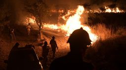 Incendios arrasan humedal argentino en Corrientes y causan daños incalculables
