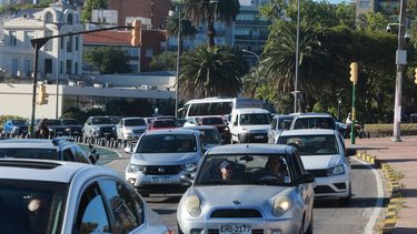 Robaron un auto clásico y su dueño pide ayuda para encontrarlo