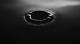 ¿Qué es la lluvia negra y cómo afecta a Uruguay?